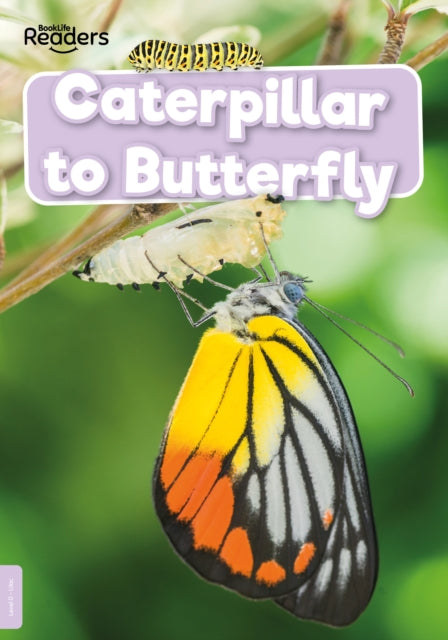 Caterpillar to Butterfly-9781839278938