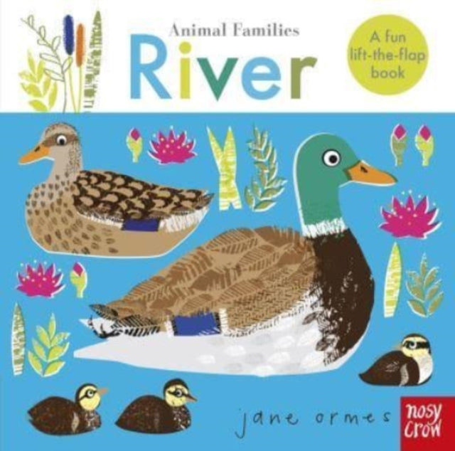 Animal Families: River B2