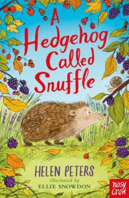 A Hedgehog Called Snuffle 9781839945052