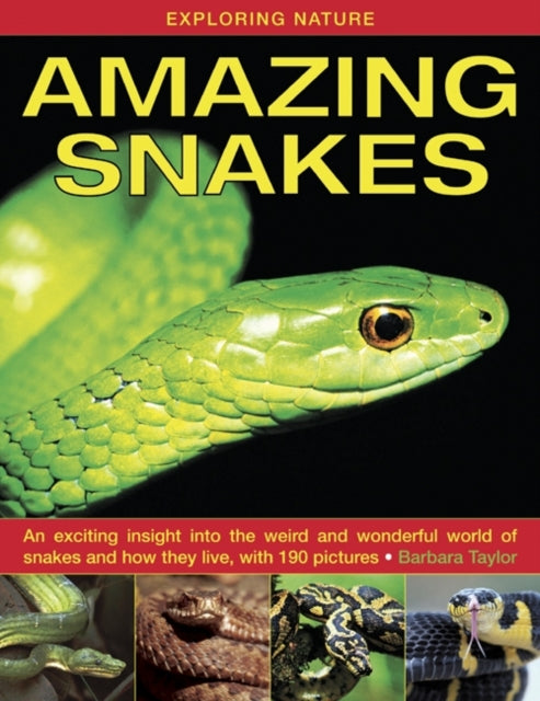 Exploring Nature: Amazing Snakes : an Exciting Insight into the Weird and Wonderful World of Snakes and How They Live, with 190 Pictures 9781843227366
