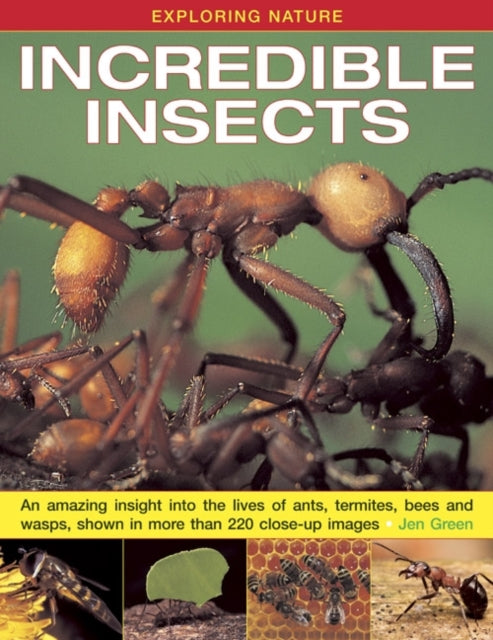 Exploring Nature: Incredible Insects : An Amazing Insight into the Lives of Ants, Termites, Bees and Wasps, Shown in More Than 220 Close-up Images 9781843229117