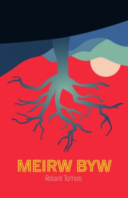 Meirw Byw 9781845279516