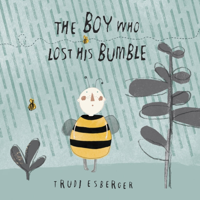 The Boy who lost his Bumble 9781846436611