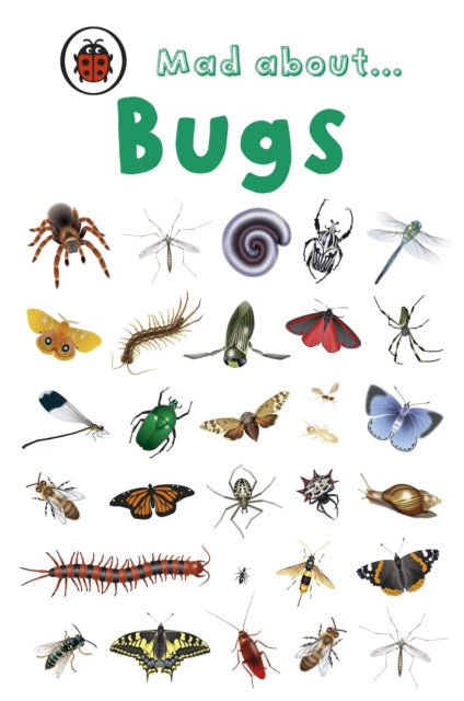 Mad About Bugs 9781846468018
