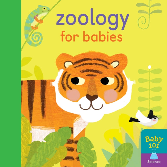 Zoology for Babies 9781848577572