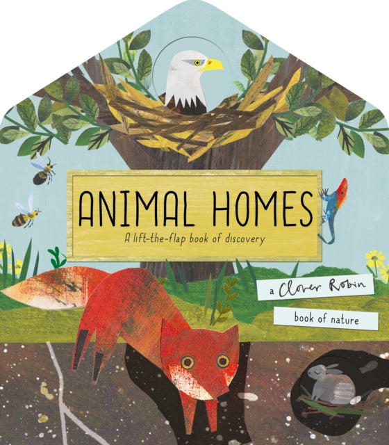 Animal Homes : A lift-the-flap book of discovery 9781848578418