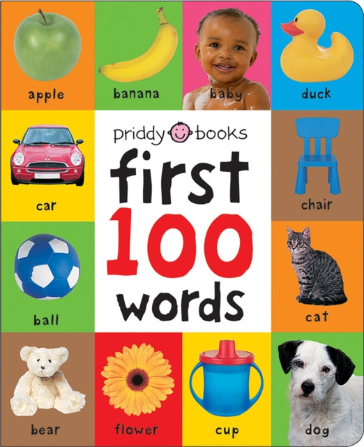 First 100 Words 9781849154208