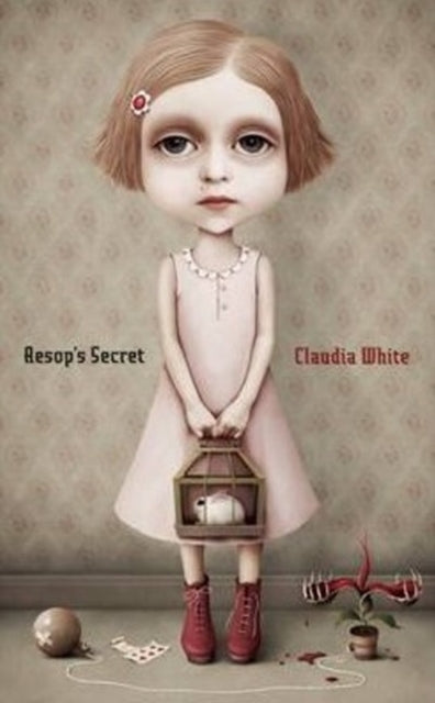 Aesop's Secret 9781849822305