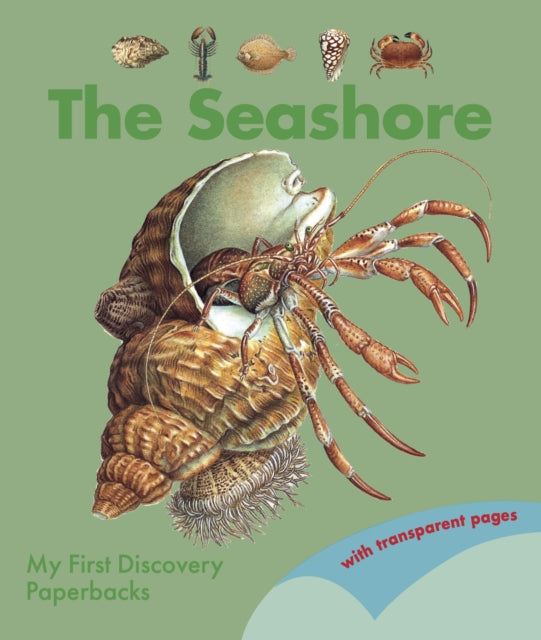 The Seashore-9781851037650