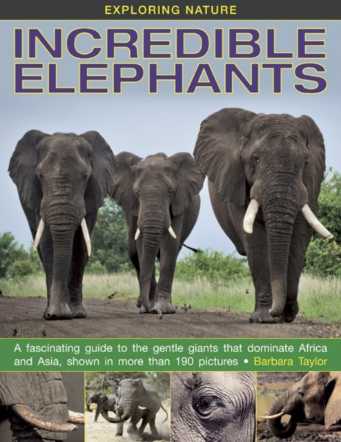 Exploring Nature: Incredible Elephants 9781861473288