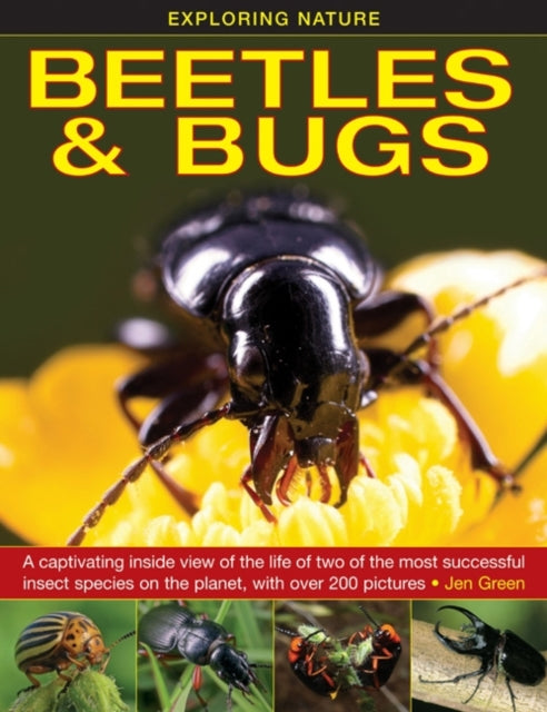 Exploring Nature: Beetles & Bugs 9781861473660