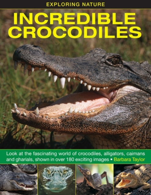 Exploring Nature: Incredible Crocodiles 9781861473677