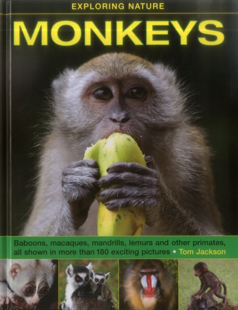 Exploring Nature: Monkeys 9781861474971