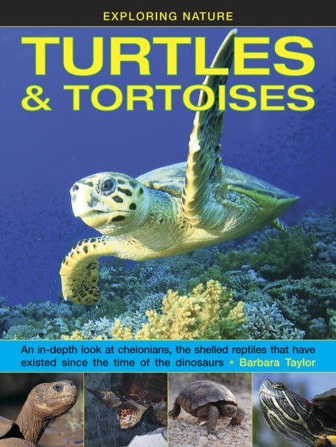 Exploring Nature: Turtles & Tortoises 9781861476432