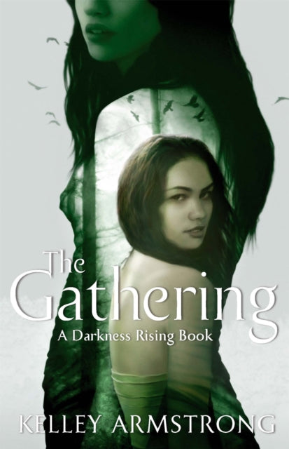 The Gathering : Book 1 of the Darkness Rising Series 9781907410178