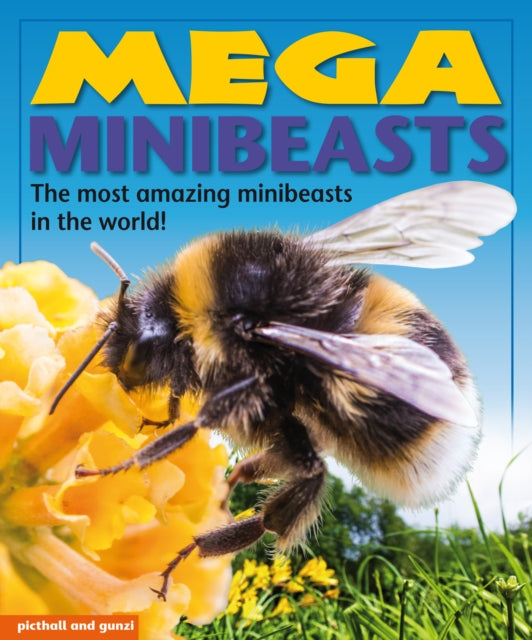 Mega Minibeasts 9781909763562