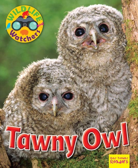 Wildlife Watchers: Tawny Owl 9781911341208