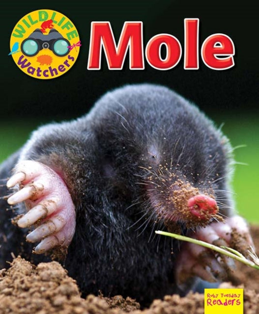 Wildlife Watchers: Mole 9781911341253