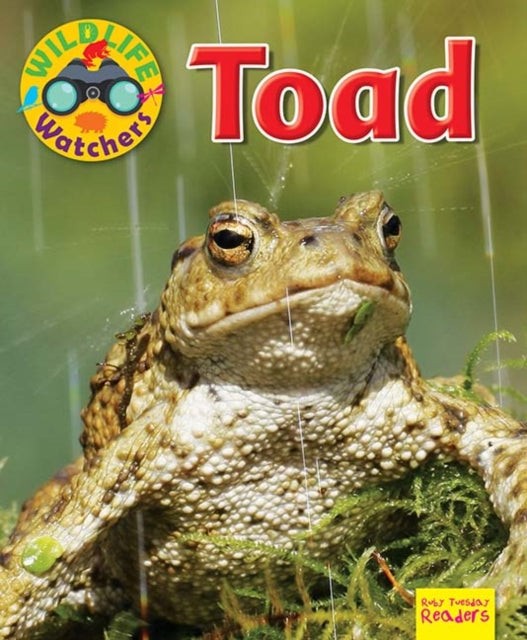 Wildlife Watchers: Toad 9781911341284