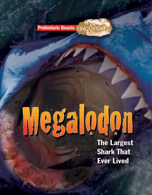 Megalodon : The Largest Shark That Ever Lived 9781911341772