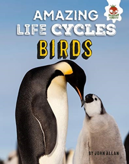 Amazing Life Cycles-Birds-9781912108367