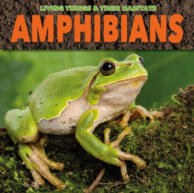Amphibians-9781912171774