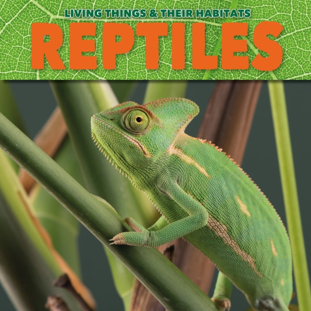 Reptiles-9781912171828