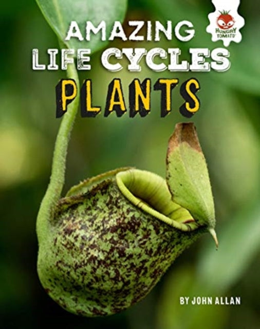 Plants - Amazing Life Cycles-9781913077006