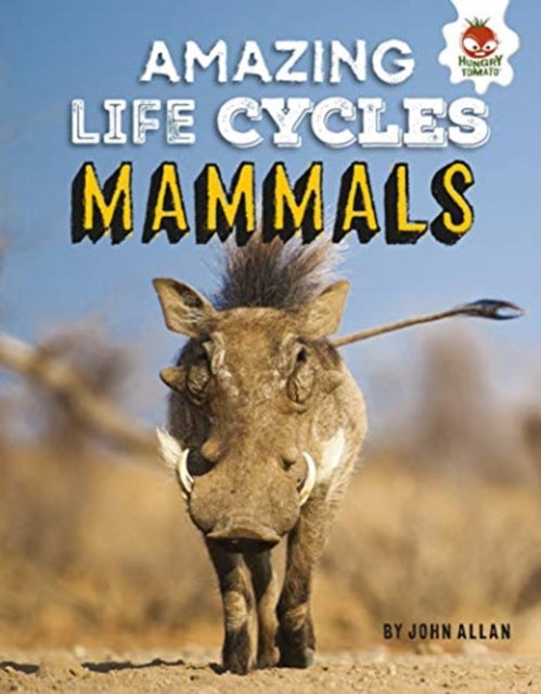 Amazing Life Cycles- Mammals-9781913077020