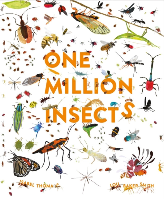 One Million Insects 9781913519025