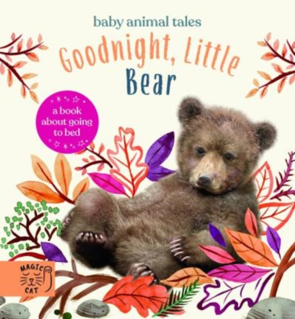 Goodnight, Little Bear : A Book About Going to Bed 9781913520342