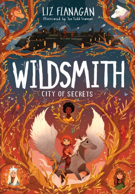 City of Secrets : The Wildsmith #2 9781915235077