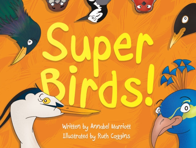 Super Birds!-9781915352590