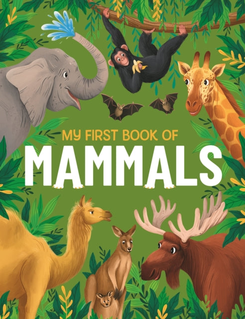 My First Book of Mammals : An Illustrated First Look at Mammals from Around the World-9781915461940