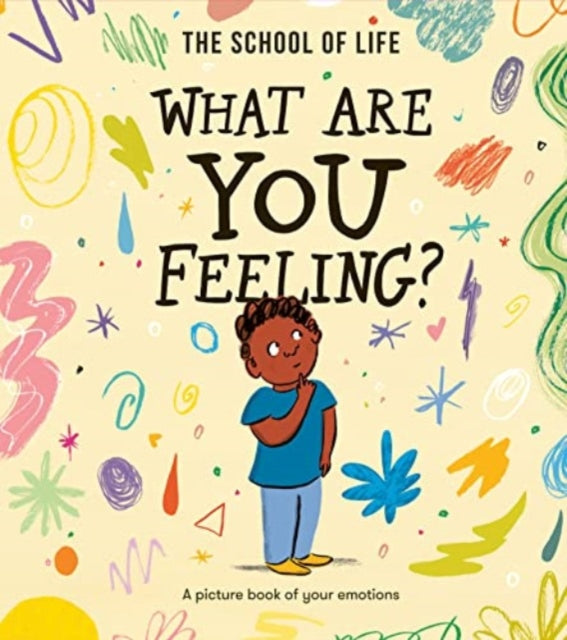 What Are You Feeling? : A picture book of your emotions 9781916753181