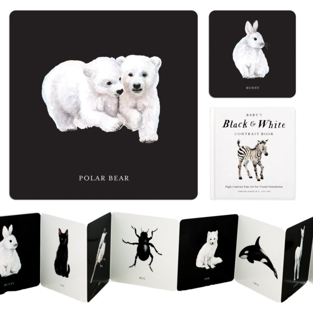 Baby's Black and White Contrast Book : High-Contrast Art for Visual Stimulation at Tummy Time 9781941325971
