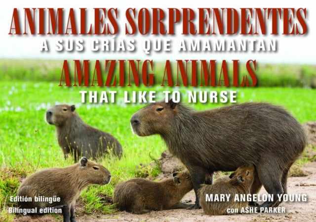 Animales Sorprendentes / Amazing Animals - English & Spanish Bilingual Edition : Que Amamantan a Sus Crias / That Like to Nurse-9781942493495