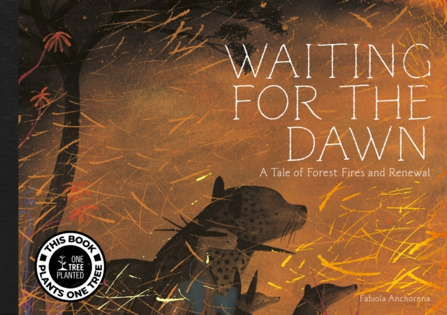 Waiting for The Dawn-9781962098014