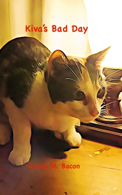 Kiva's Bad Day 9781989699331