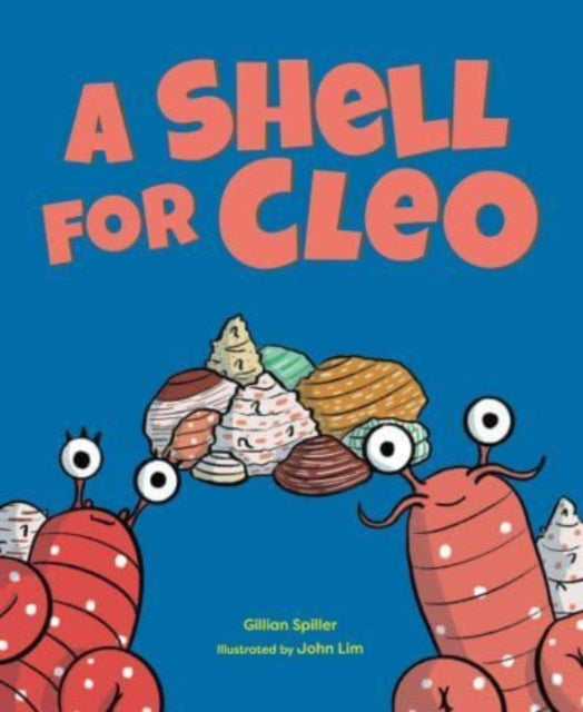 A Shell for Cleo B2