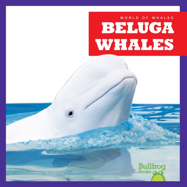 Beluga Whales-9798885245869