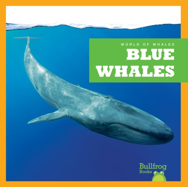 Blue Whales-9798885245890