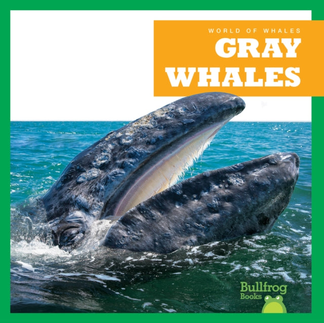 Gray Whales-9798885245920