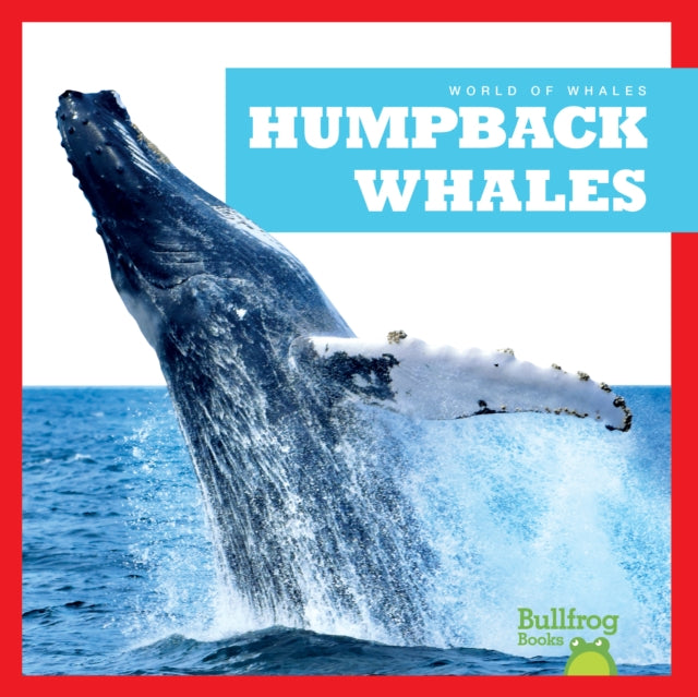 Humpback Whales-9798885245951