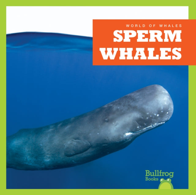 Sperm Whales-9798885246019