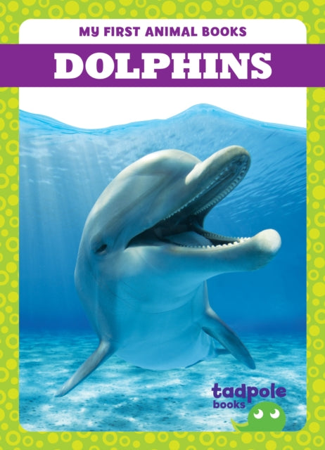 Dolphins-9798885246583