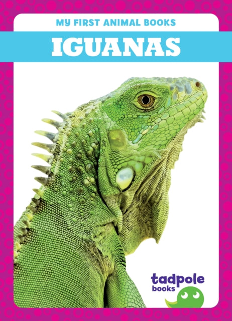 Iguanas-9798885246644