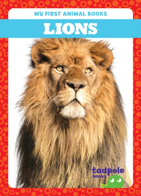 Lions-9798889965770