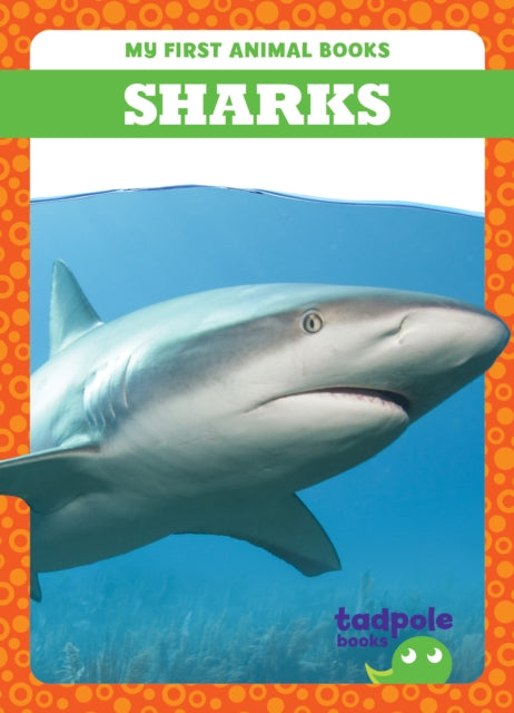 Sharks-9798889965862