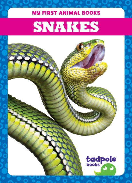 Snakes-9798889965893
